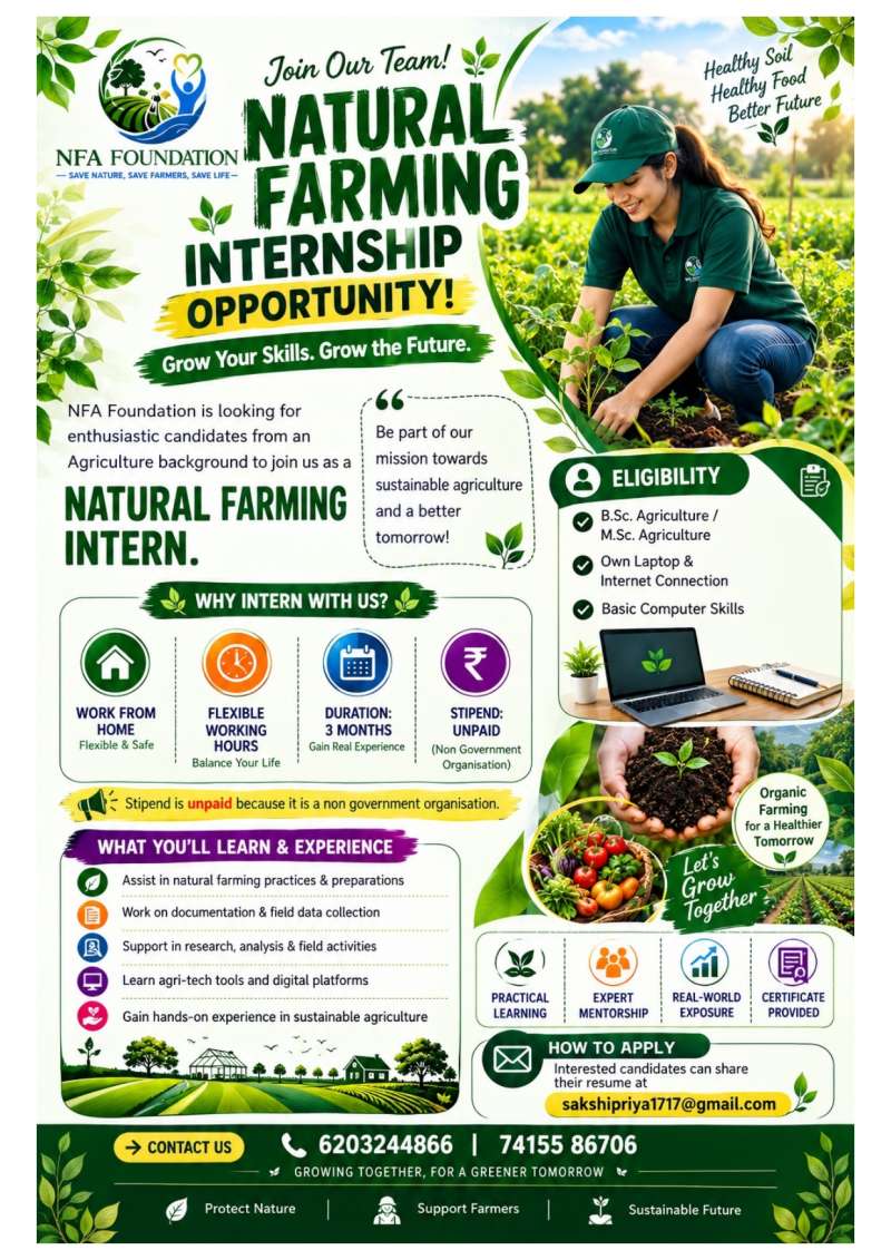 Internship